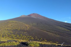 IMG_2023-09-10-06-02-56-186