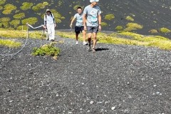 IMG_6491