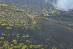 IMG_6632