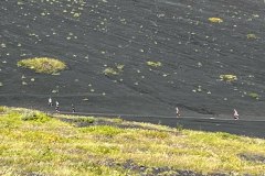 IMG_6652
