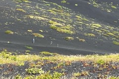 IMG_6658
