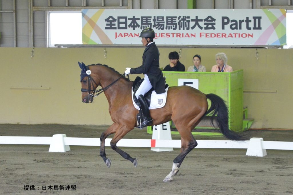林選手が連覇🥇🐴全日本馬場馬術大会PartⅡ – sportstown